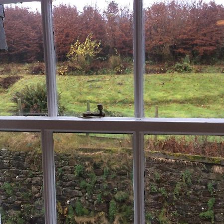 The Forest Inn Dartmoor Yelverton Eksteriør bilde